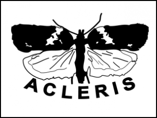 Acleris logo (MK-monitoimi)
